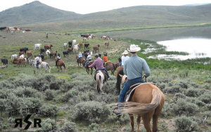 Colorado Horseback Riding